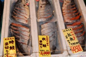 春が旬の時鮭（ときしらず）