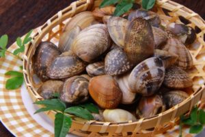 砂抜きの後の潮吐き（しおはき）