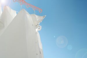 白いシャツが狙われる?カメムシの習性