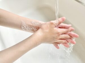 手や服についたカメムシの臭いに石鹸は逆効果