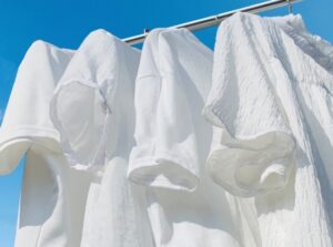 カメムシが洗濯物を産卵場所に選ぶ理由