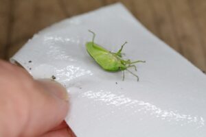 ガムテープで封印する