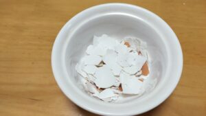 カタツムリは卵の殻やコンクリートも食べる